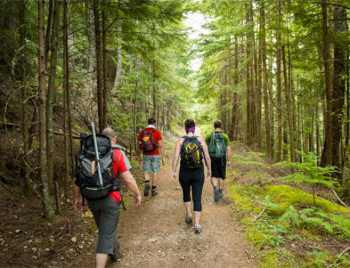 2 802 km de sentiers à améliorer à l&rsquo;occasion de la Journée internationale des sentiers